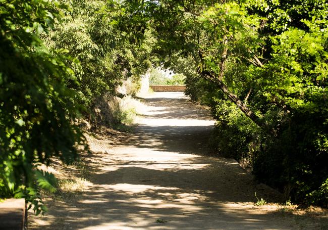 Ruta por elCamino del Avellano.