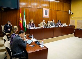 El consejero de Presidencia, en el centro, durante su comparecencia en la comisión parlamentaria.