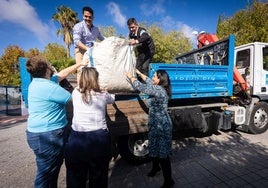 Un gobierno para todo en Jun: de retirar árboles a atender llamadas de la Policía Local