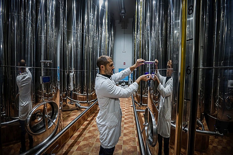 Imagen de la almazara Quaryat en Dílar.