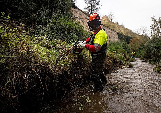 Dentro de la limpieza del río Darro en Granada