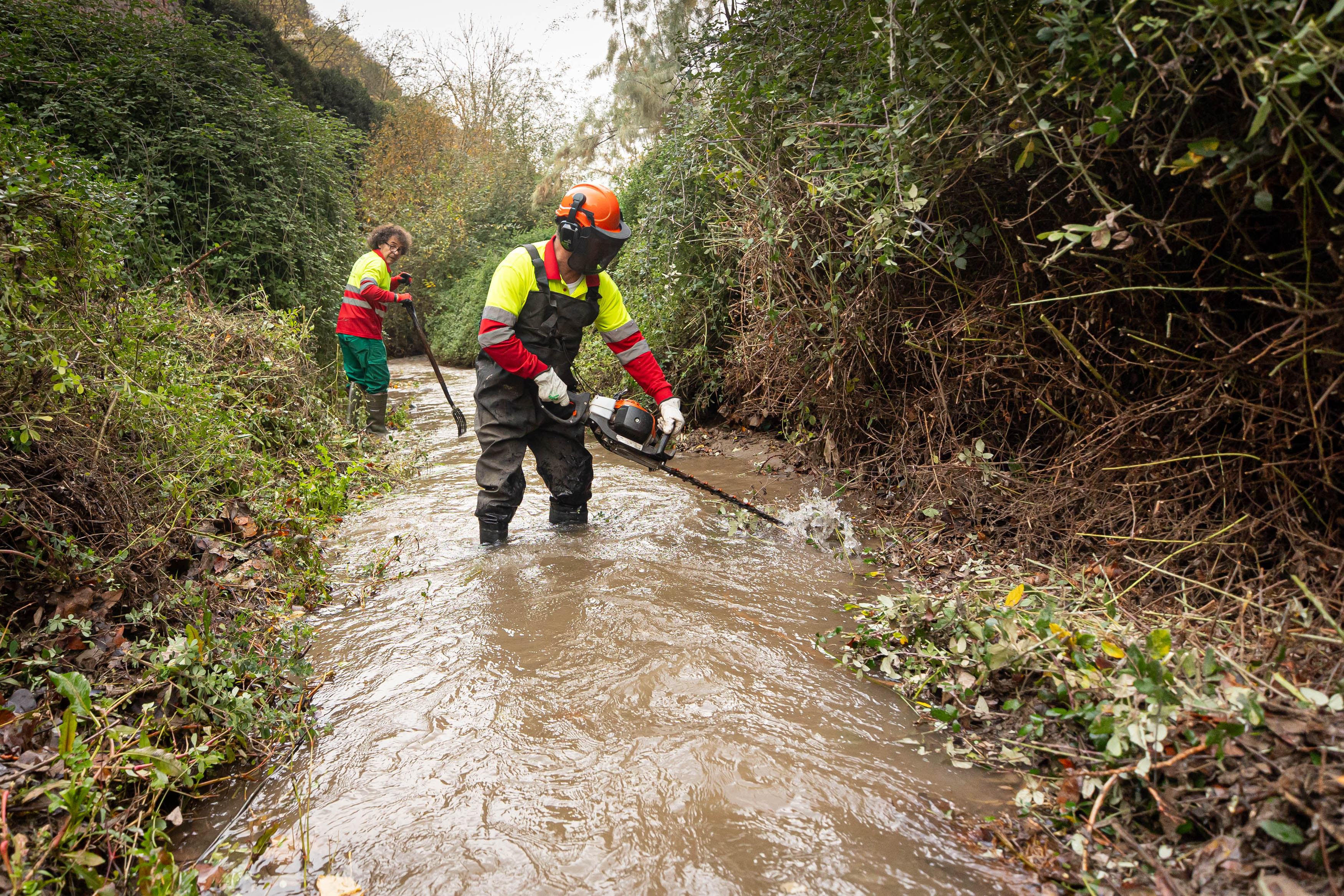 Dentro de la limpieza del río Darro en Granada