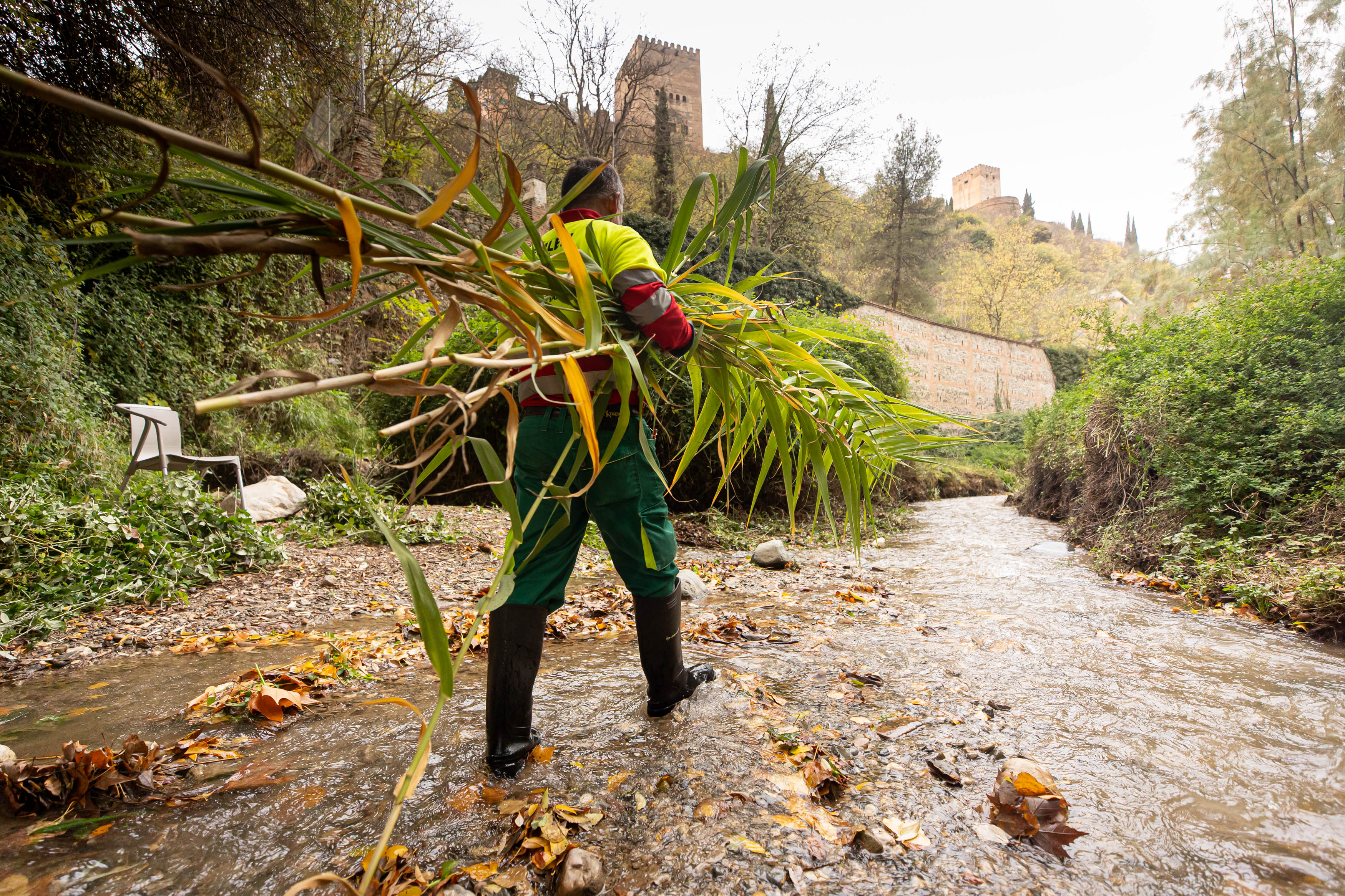 Dentro de la limpieza del río Darro en Granada