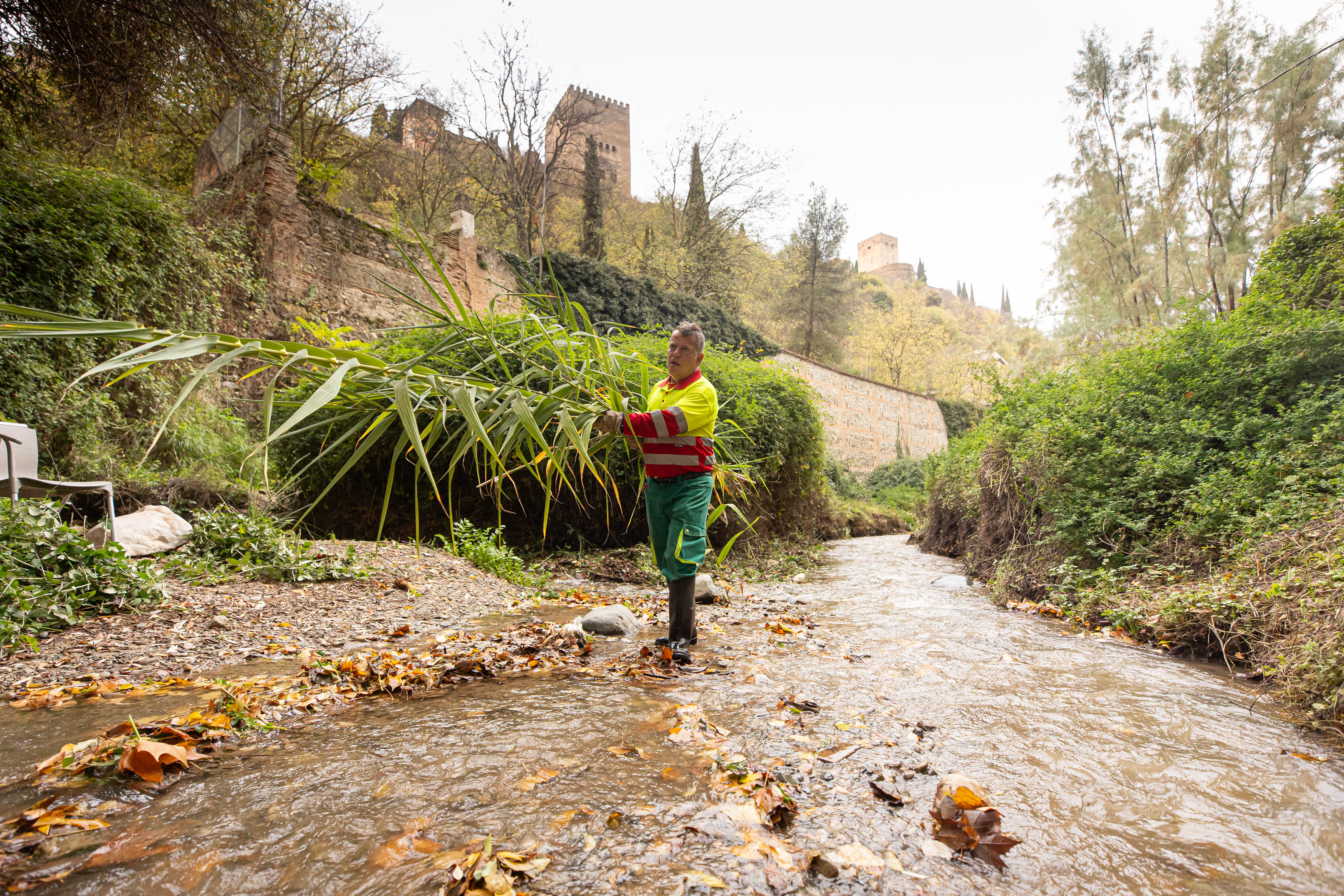 Dentro de la limpieza del río Darro en Granada