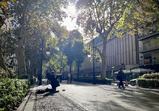 Si pasean por la Carrera de la Virgen, por la mañana, verán a Jesús aquí.