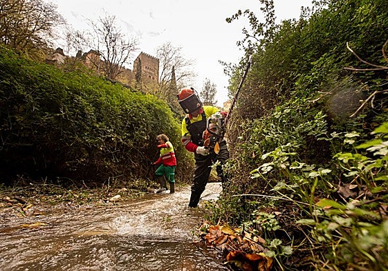 Desbroce en el río Darro