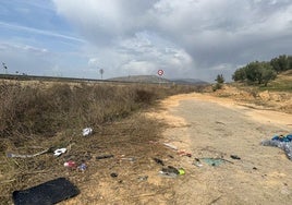 Restos del vehículo accidentado.