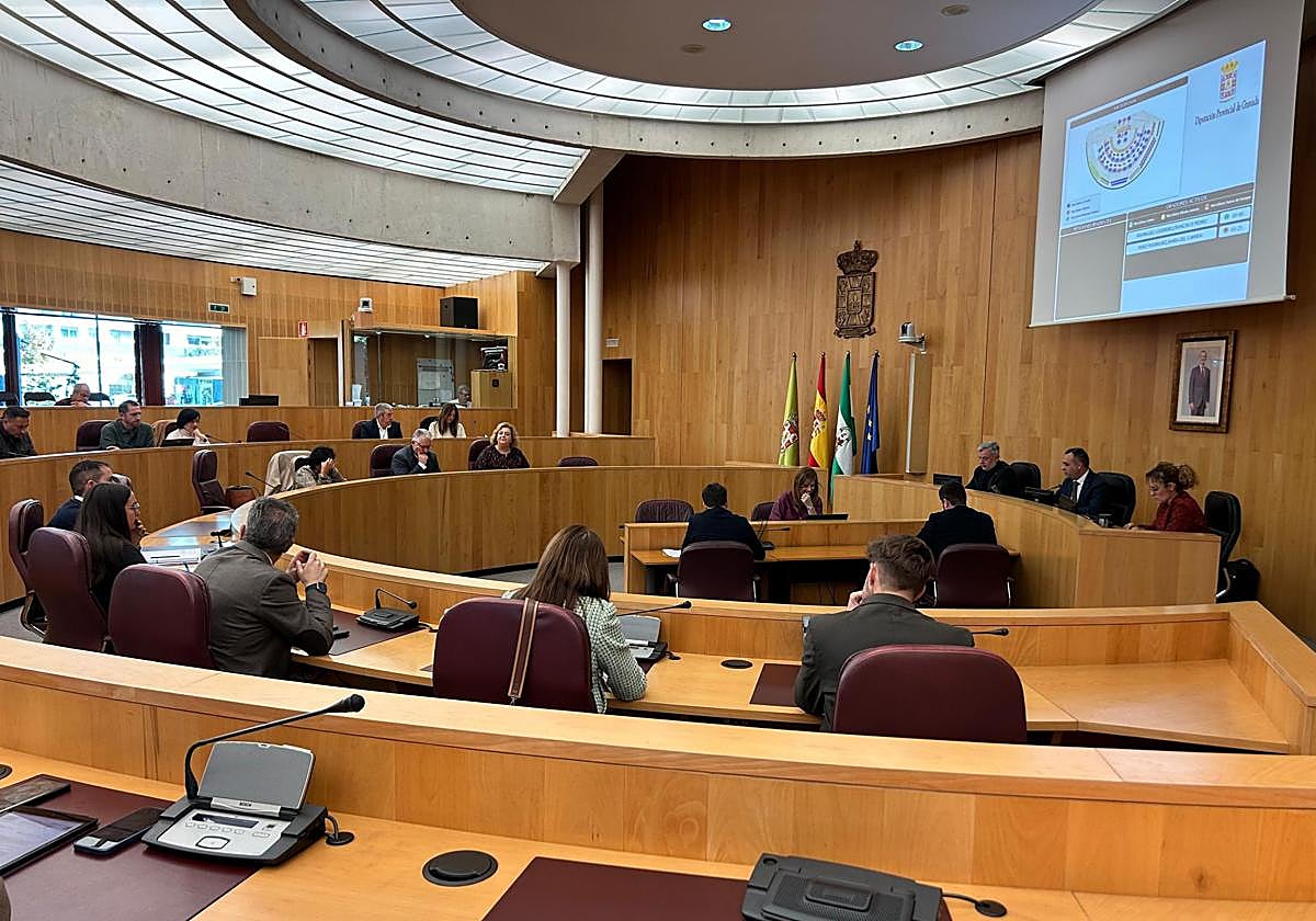 Pleno extraordinario para aumentar la partida para la reforma de los colegios.