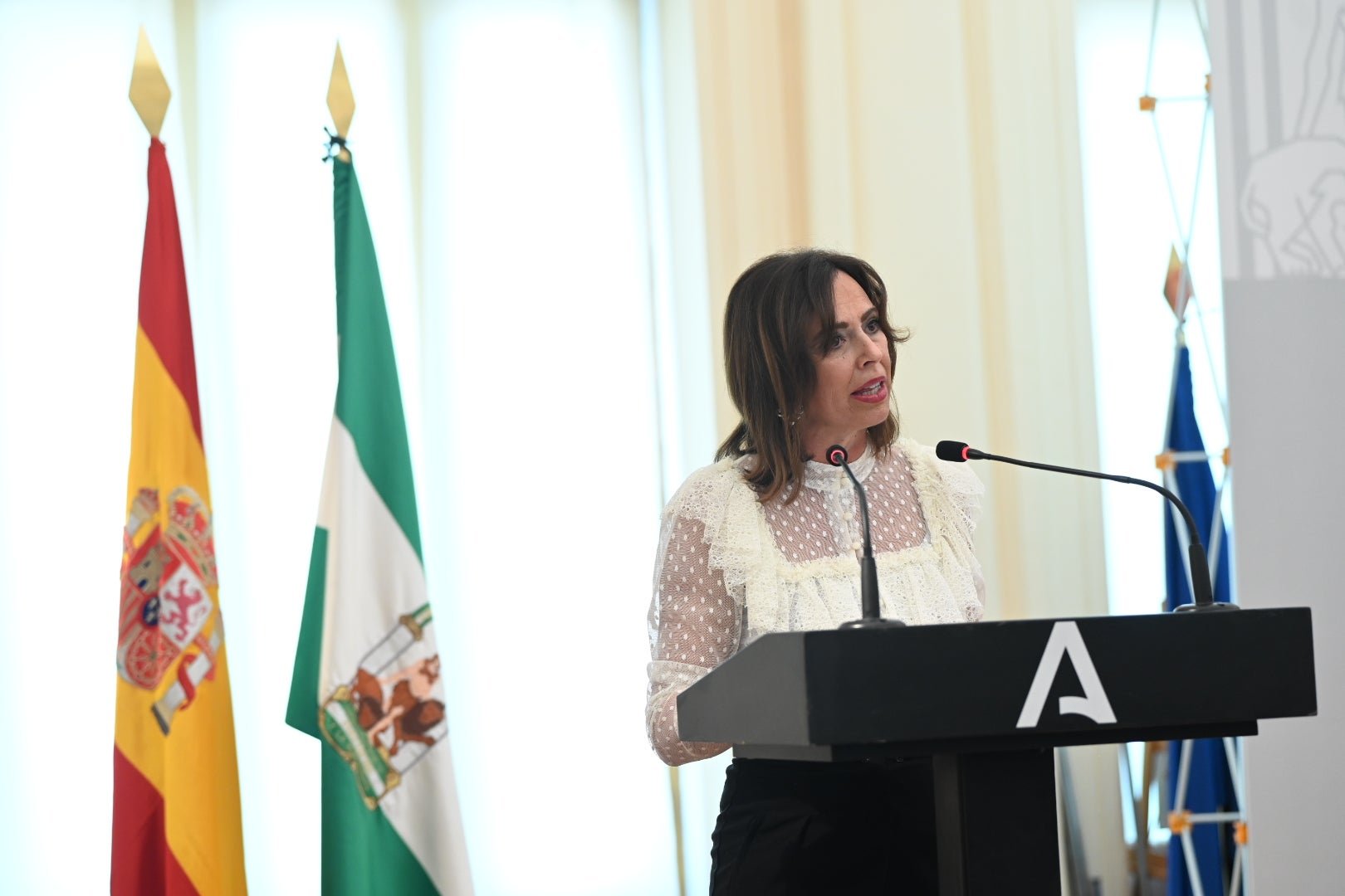 El Día de la Bandera de Andalucía en Granada, en imágenes