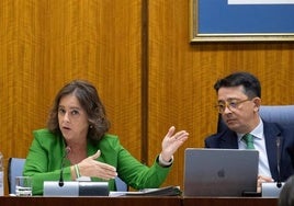 Catalina García, en la comisión parlamentaria de Sostenibilidad y Medio Ambiente