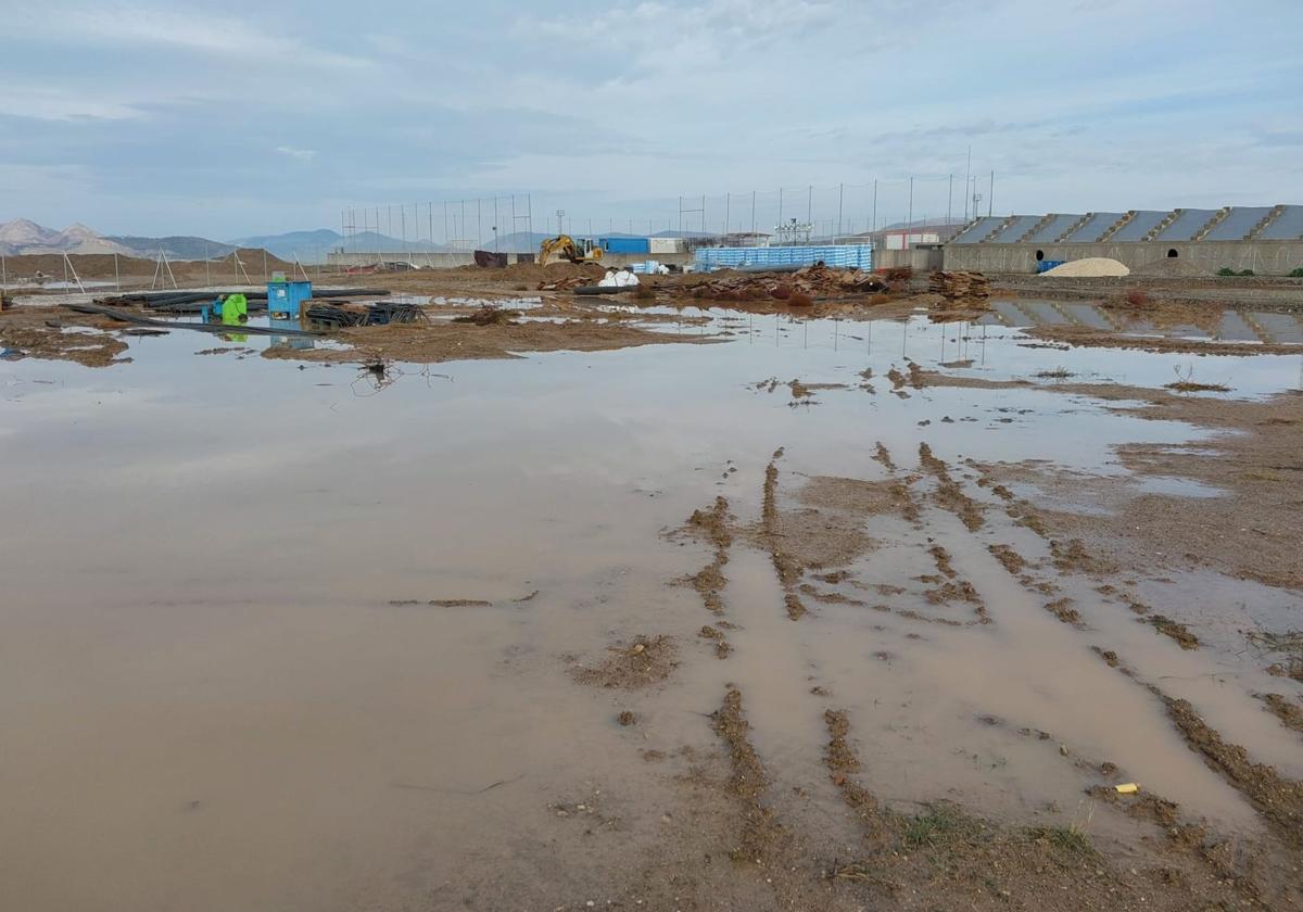 Las zonas en las que irán los nuevos campos de fútbol en la Ciudad Deportiva del Granada, inundadas.