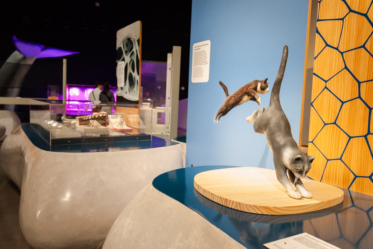 Las mejores imágenes de la exposición &#039;BioInspiración&#039; en el Parque de las Ciencias de Granada