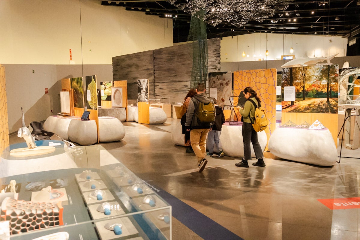 Las mejores imágenes de la exposición &#039;BioInspiración&#039; en el Parque de las Ciencias de Granada