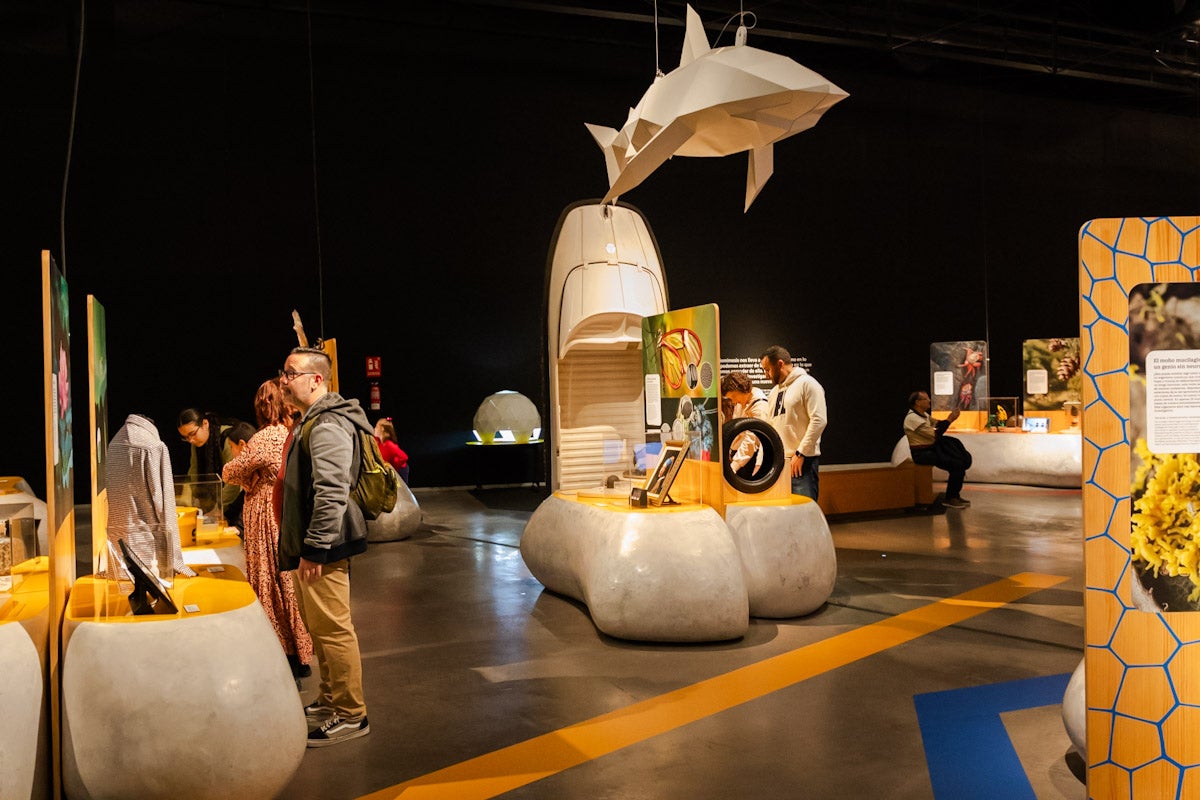 Las mejores imágenes de la exposición &#039;BioInspiración&#039; en el Parque de las Ciencias de Granada