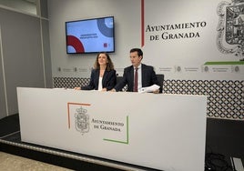 El PSOE exige a Personal que amplíe las plazas de Servicios Sociales en Granada