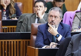 Juan Espadas, secretario general del PSOE-A.