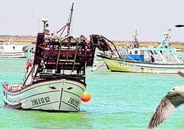 Barcos de pesca en el litoral andaluz.