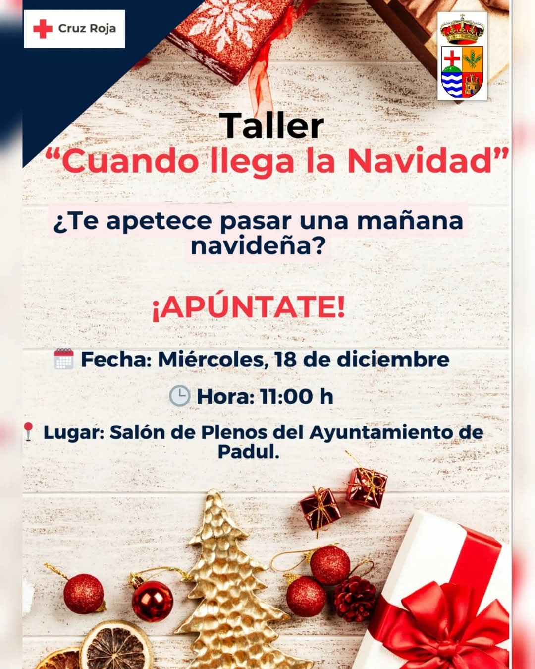 Así es la Navidad en Padul