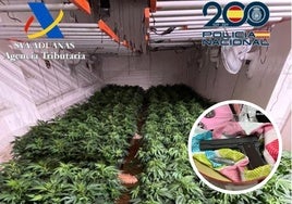 Cae un clan familiar boliviano de la marihuana en Granada.