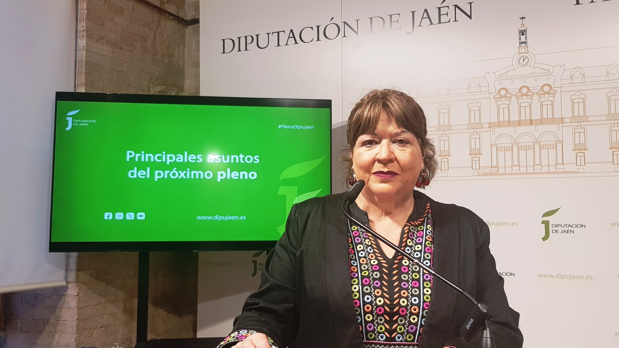 Vicepresidenta segunda y diputada de Economía, Hacienda, Asistencia a Municipios y Recursos Humanos, Pilar Parra.