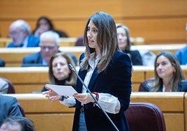 El PP critica la «falta de compromiso con los plazos» en la conexión ferroviaria de la alta velocidad