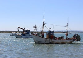 La Junta convoca ayudas para la pesca de arrastre del Mediterráneo por 3,3 millones de euros