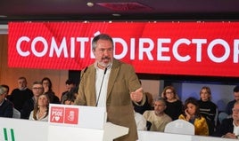 Juan Espadas, durante su intervención ante el Comité Director del PSOE-A.