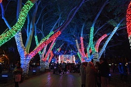 La historia de la ciudad de Almería ilumina el Parque Nicolás Salmerón en Navidad