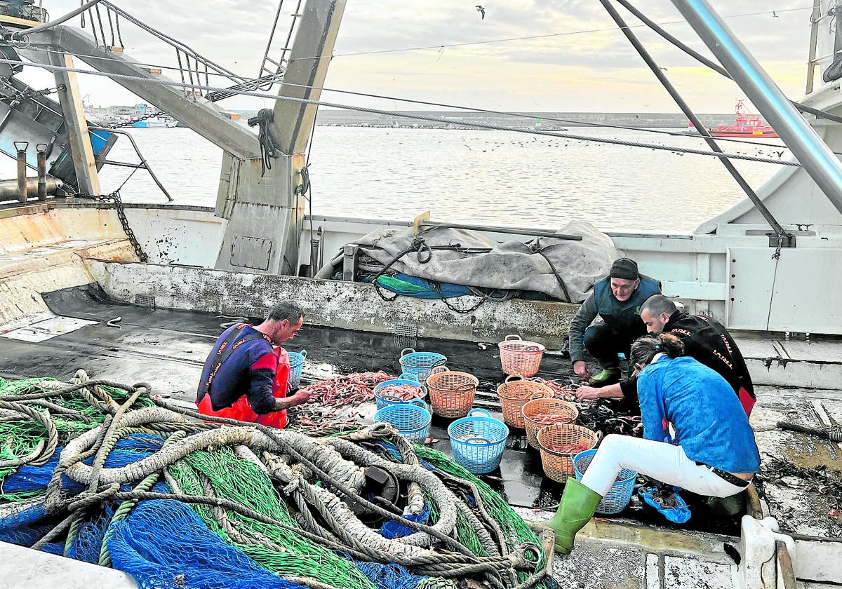 Los pescadores clasifican el género en el barco.