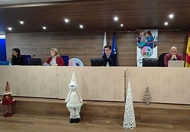 La asamblea de colegiados de enfermería se pudo seguir de manera presencial y on line.