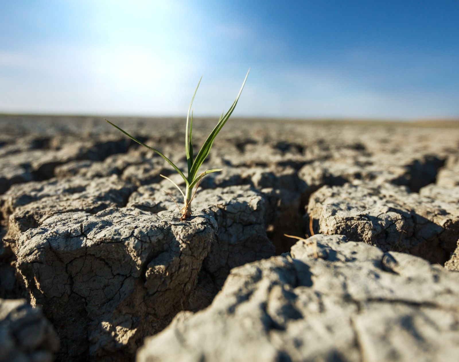 La UAL recibe más de medio millón de euros para dos proyectos sobre sequía