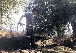 La intención es traer a nuevos agricultores jóvenes al campo.