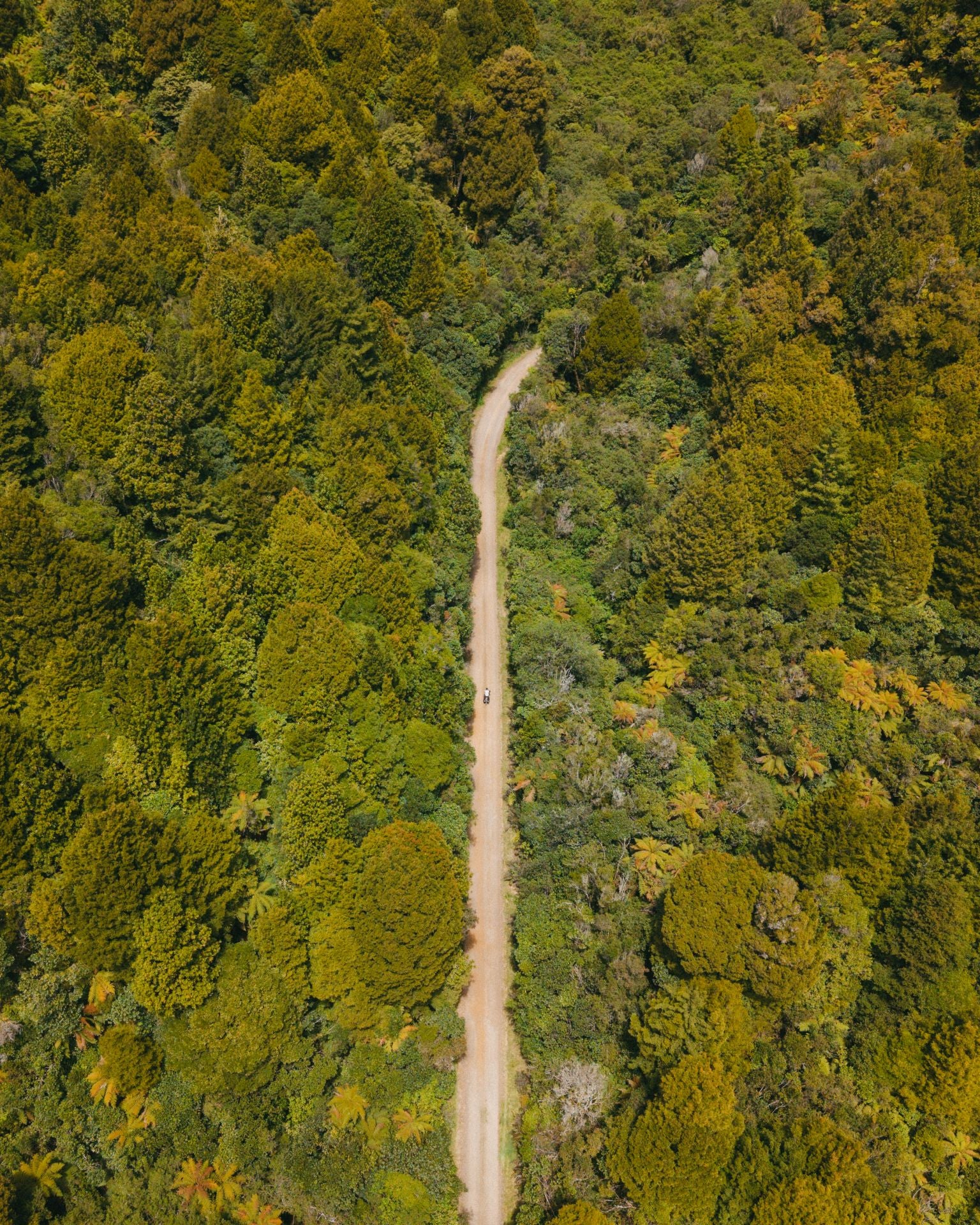Las espectaculares imágenes del granadino que recorre Nueva Zelanda en bicicleta