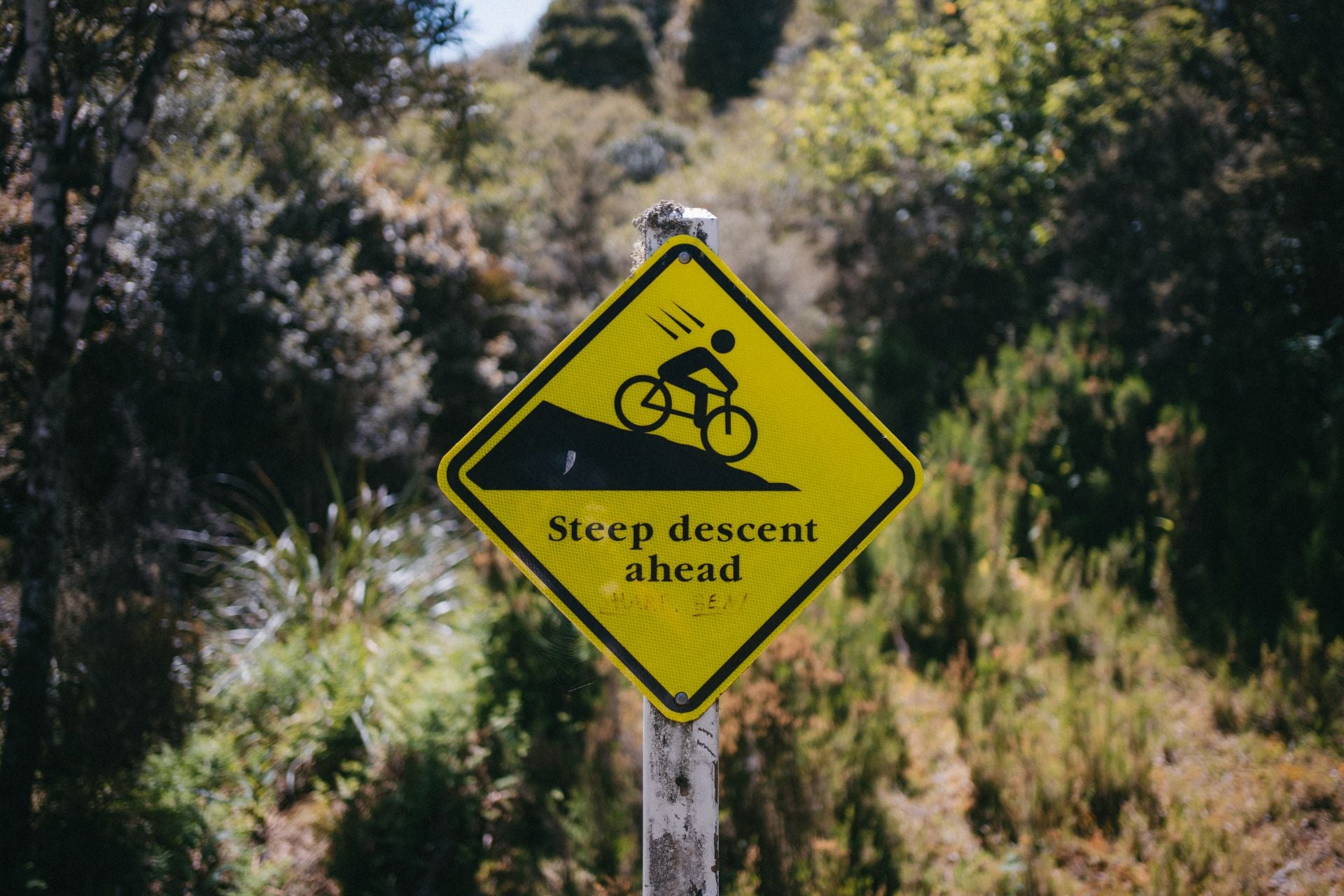 Las espectaculares imágenes del granadino que recorre Nueva Zelanda en bicicleta