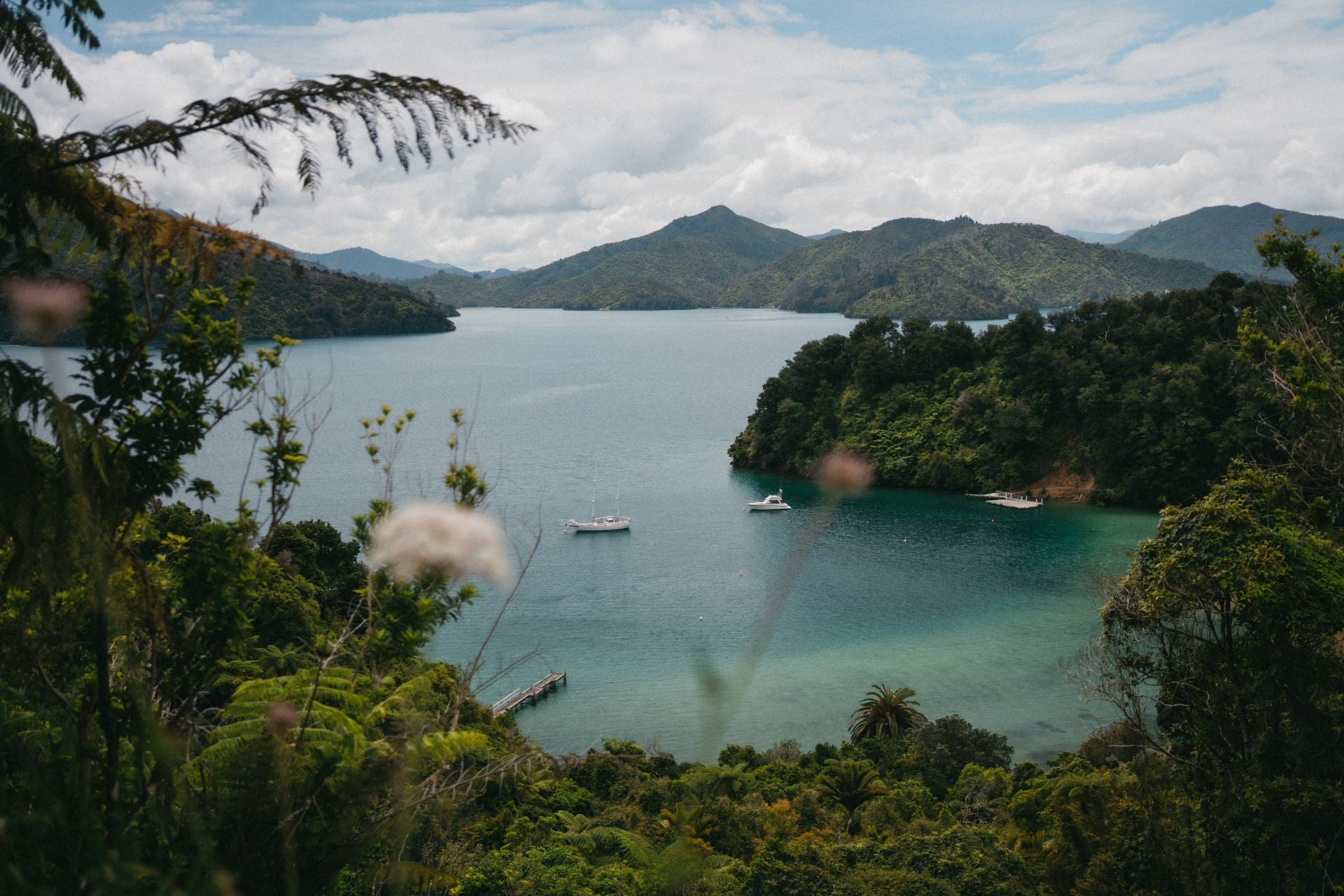 Las espectaculares imágenes del granadino que recorre Nueva Zelanda en bicicleta