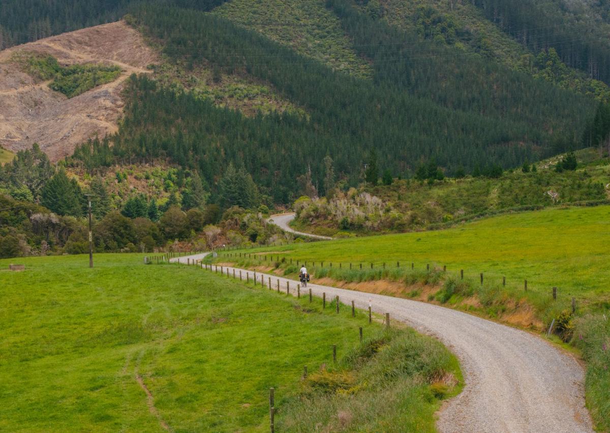 Imagen secundaria 1 - Pérez, por tierras de Nueva Zelanda. 