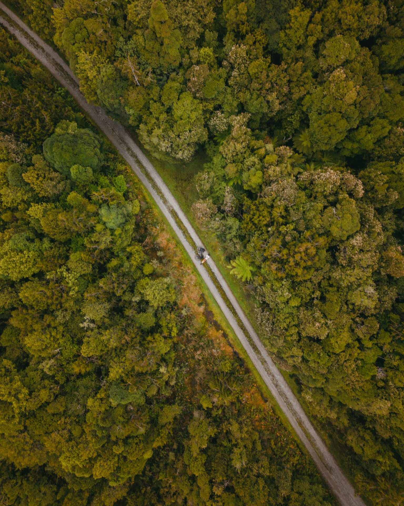 Las espectaculares imágenes del granadino que recorre Nueva Zelanda en bicicleta