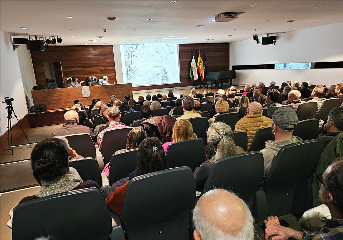 Amigos de la Alcazaba y Argárica ponen luz sobre 'La Estela de Escúllar' y piden una investigación para descifrar sus escrituras