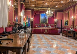 Comisión de Movilidad celebrada este viernes en el Ayuntamiento.