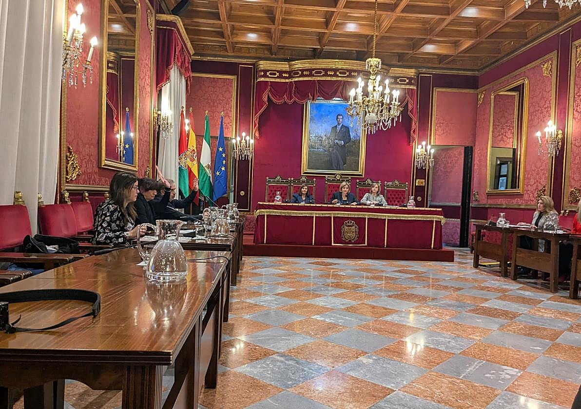 Comisión de Movilidad celebrada este viernes en el Ayuntamiento.