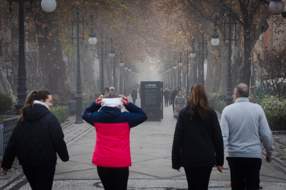 Las mejores fotografías de la niebla sobre Granada