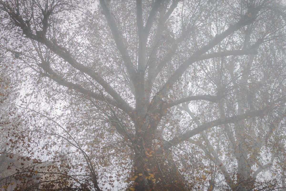 Las mejores fotografías de la niebla sobre Granada