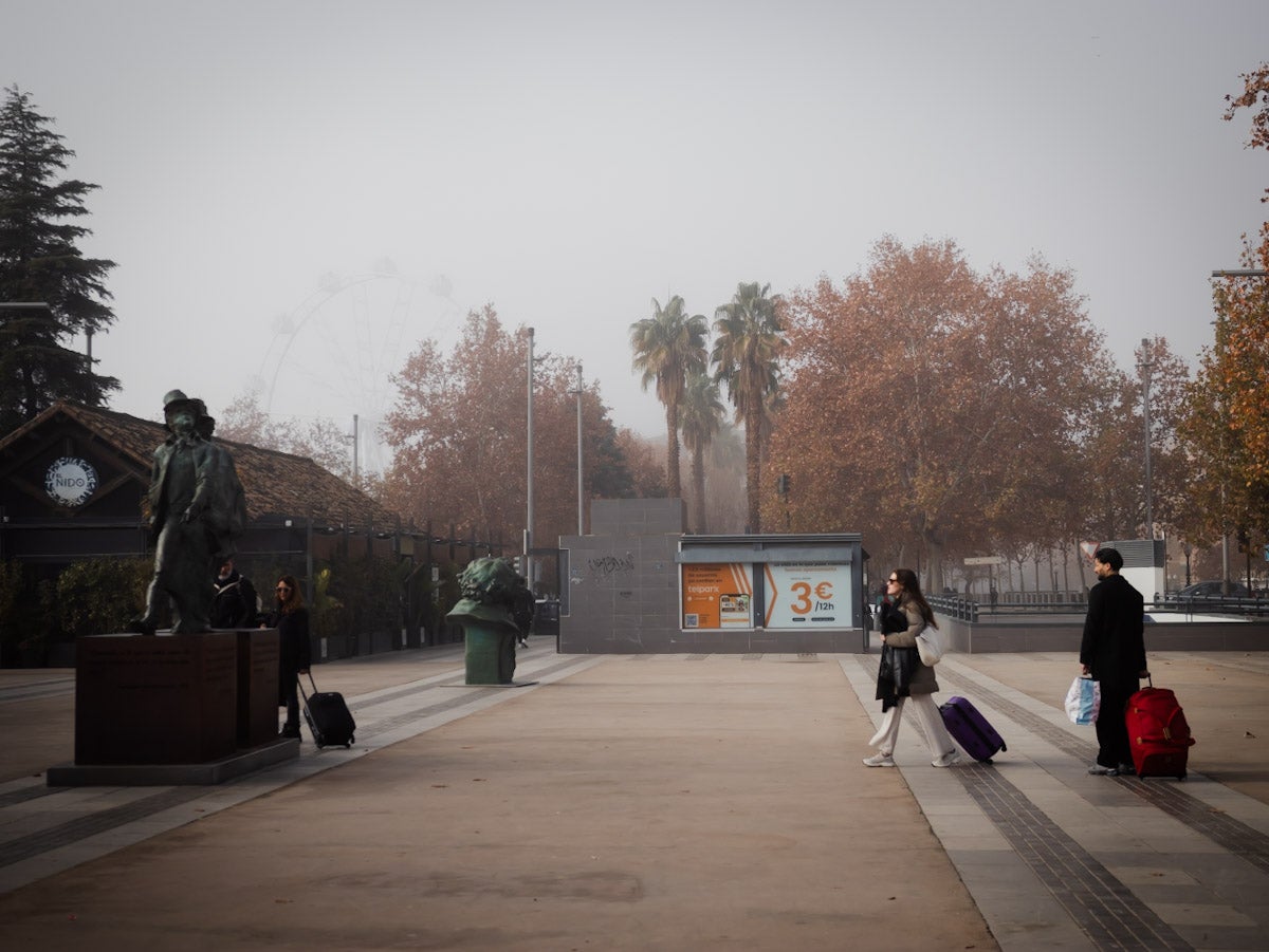 Las mejores fotografías de la niebla sobre Granada