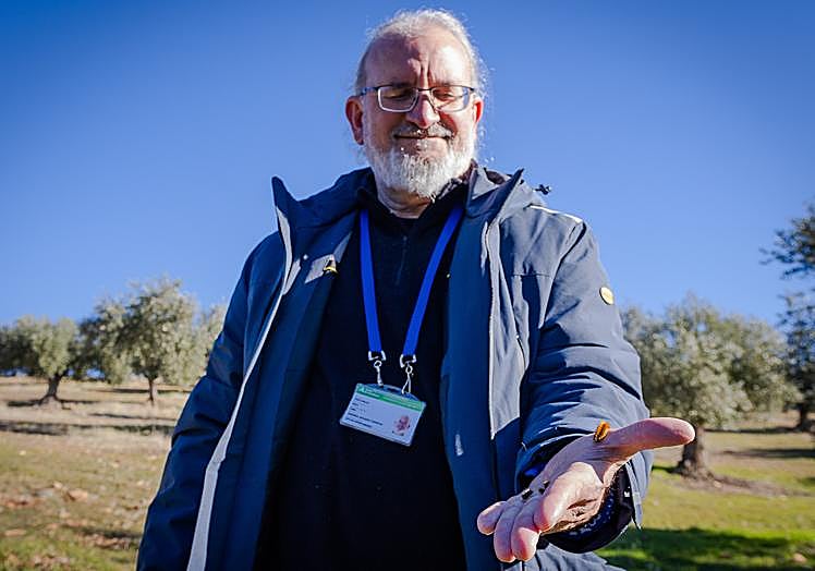 José Carlos Ávila sostiene algunas orugas, que son inofensivas.