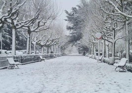 Nieve en Andalucía.