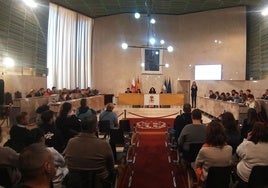 Pleno del Ayuntamiento de Almería.