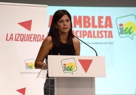 María Jesús Amate, coordinadora provincial de IU.