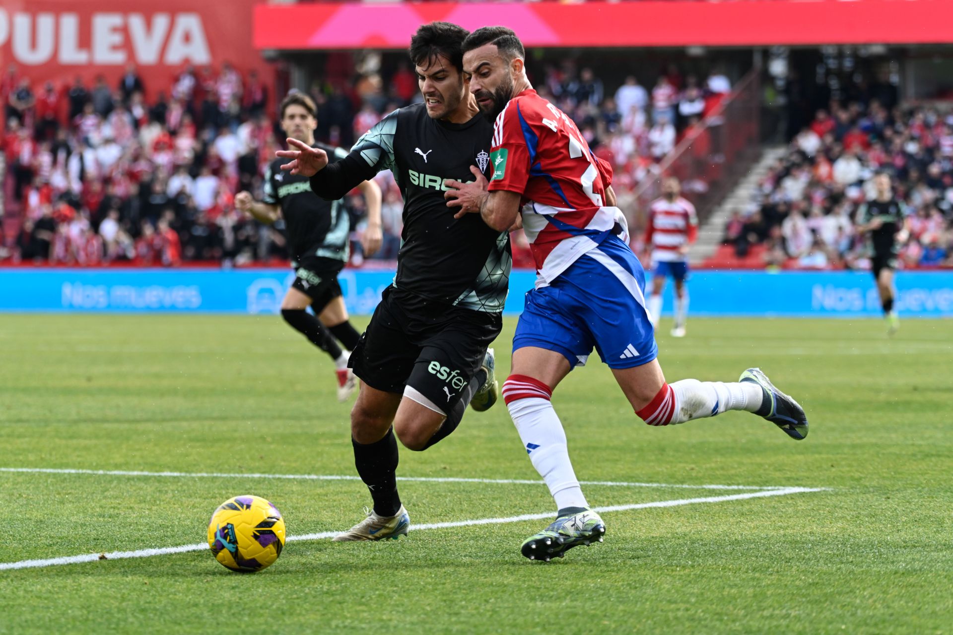 Las mejores imágenes del Granada - Sporting