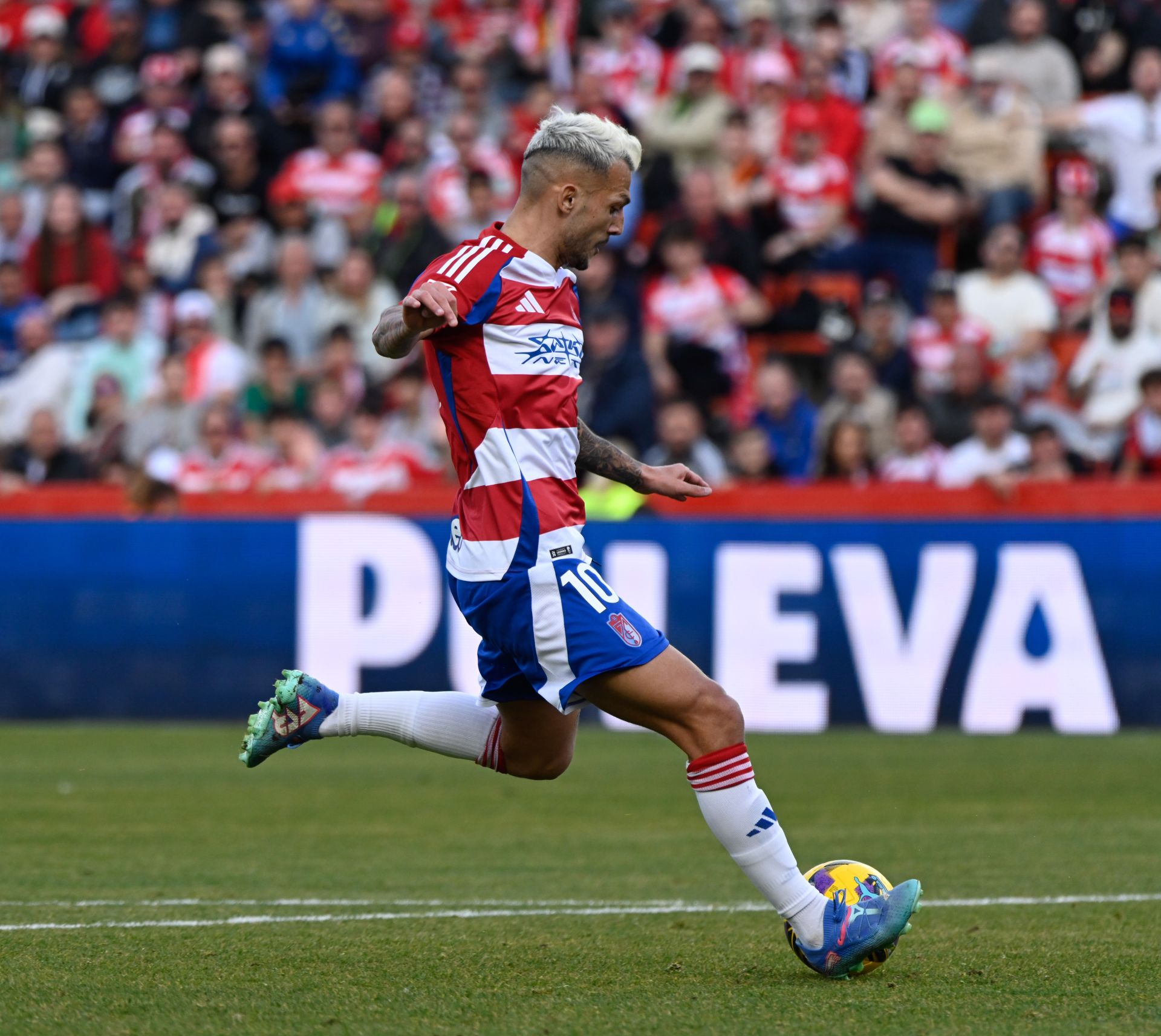 Las mejores imágenes del Granada - Sporting