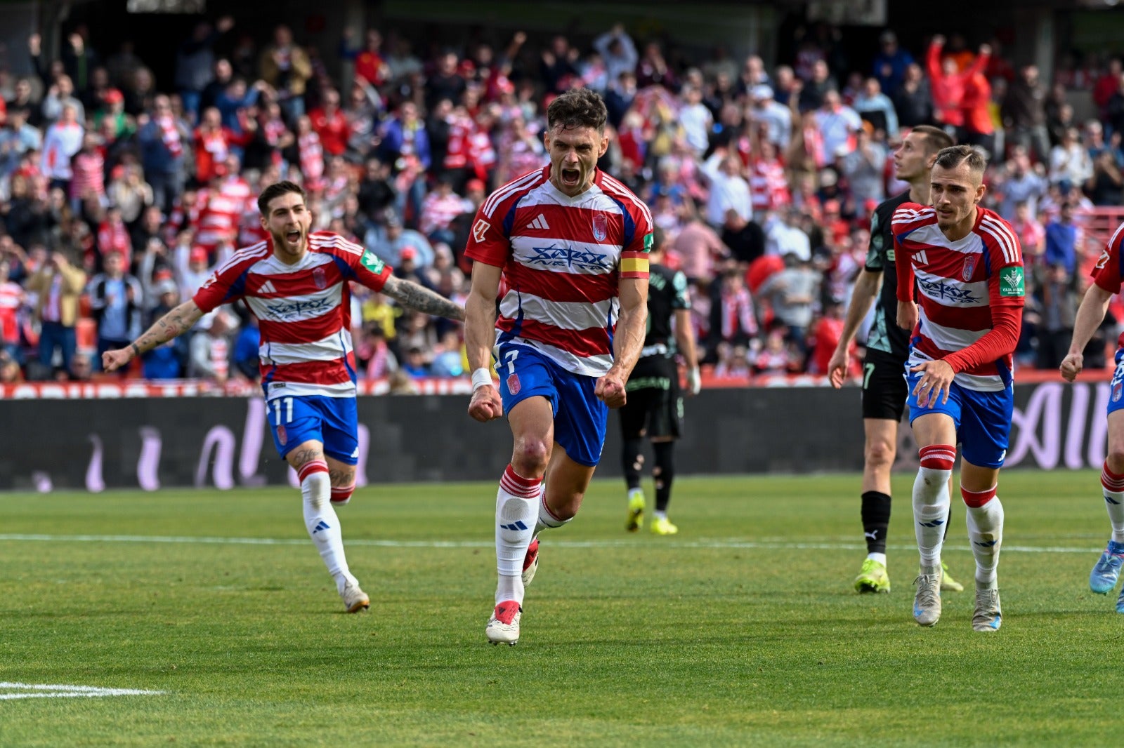 Las mejores imágenes del Granada - Sporting